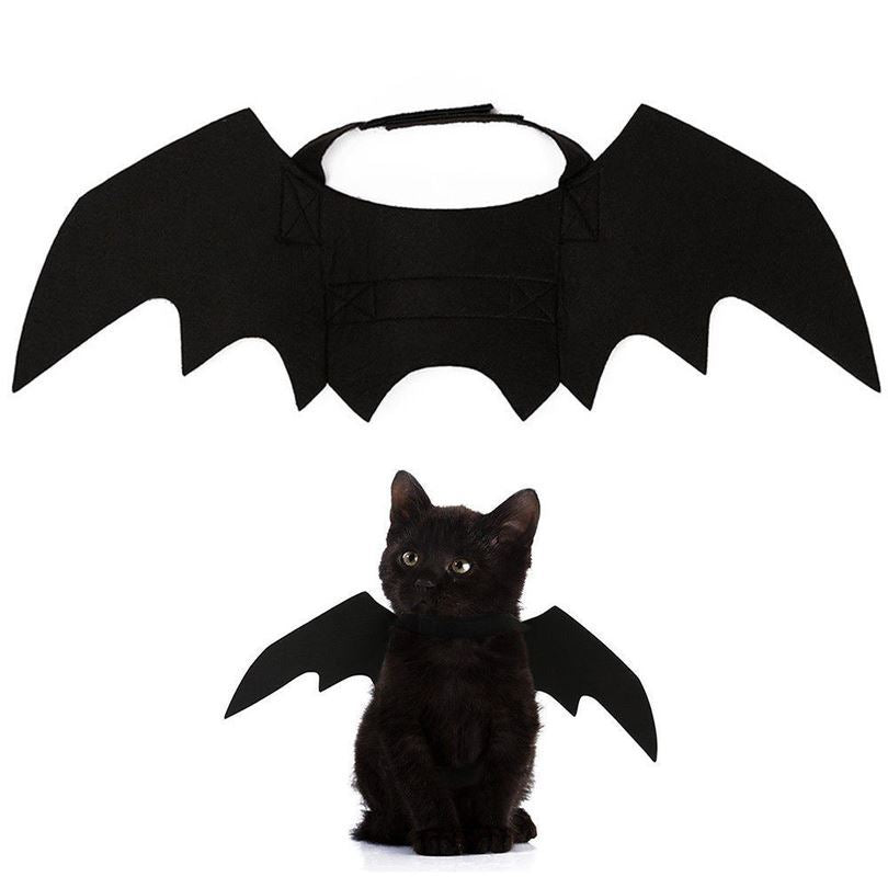 Alas de murciélago de fieltro para gatos | GATOKOOL