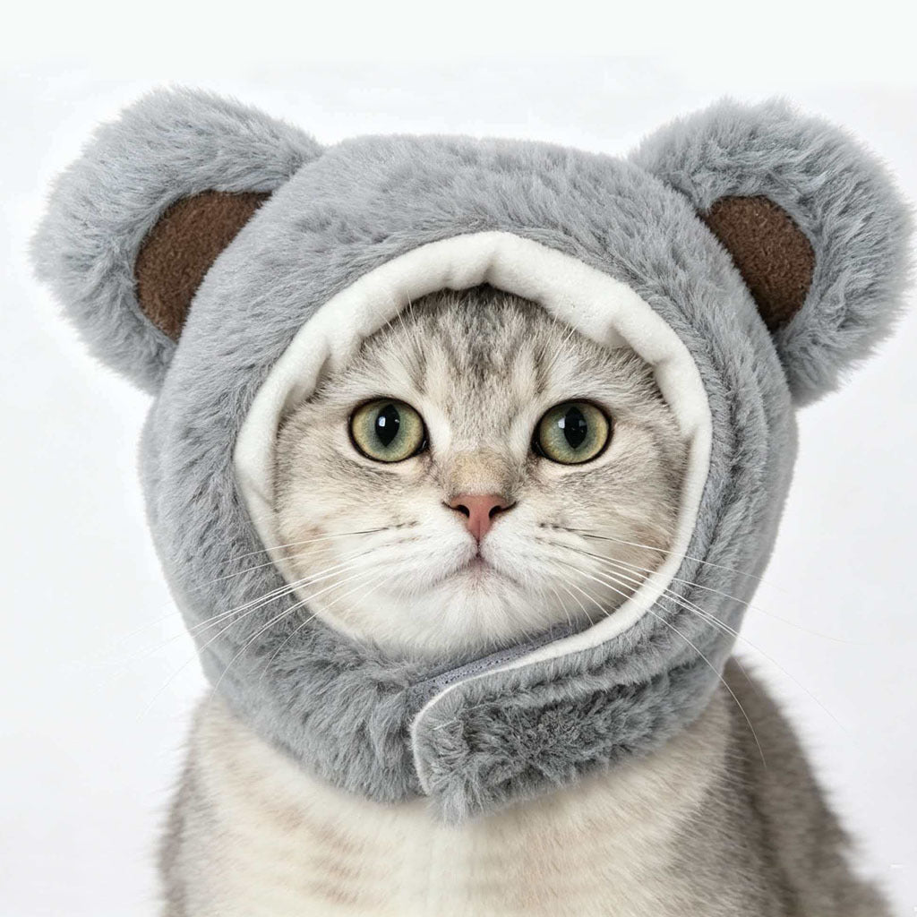 Gorro para gatos con diseño de osito | GATOKOOL