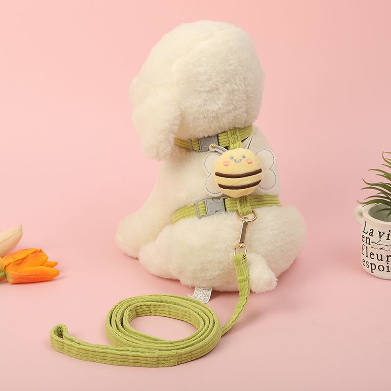 Correa para gatos con diseño de abeja | GATOKOOL