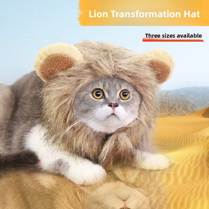Gorro para gatos con diseños de león, oso y conejo | GATOKOOL