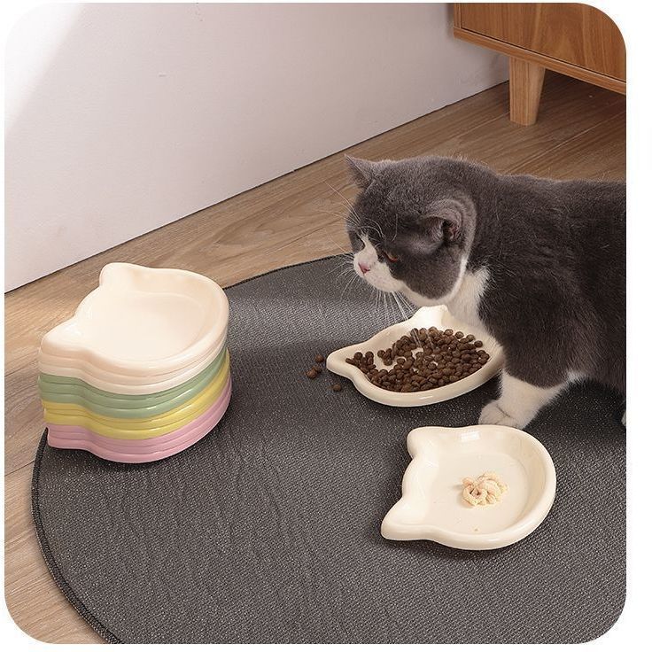 Plato para gatos para comida húmeda y premios | GATOKOOL