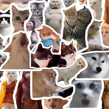 Pegatinas de gatos y memes con caja opcional | GATOKOOL