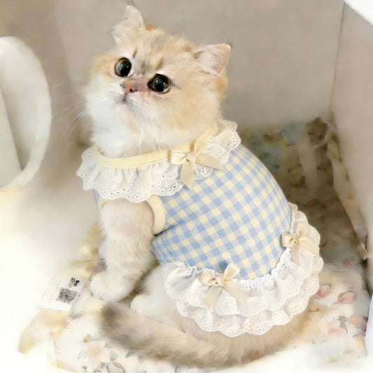 Vestido azul para gatos con encaje | GATOKOOL