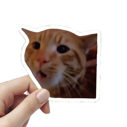 Pegatinas de gatos y memes con caja opcional | GATOKOOL