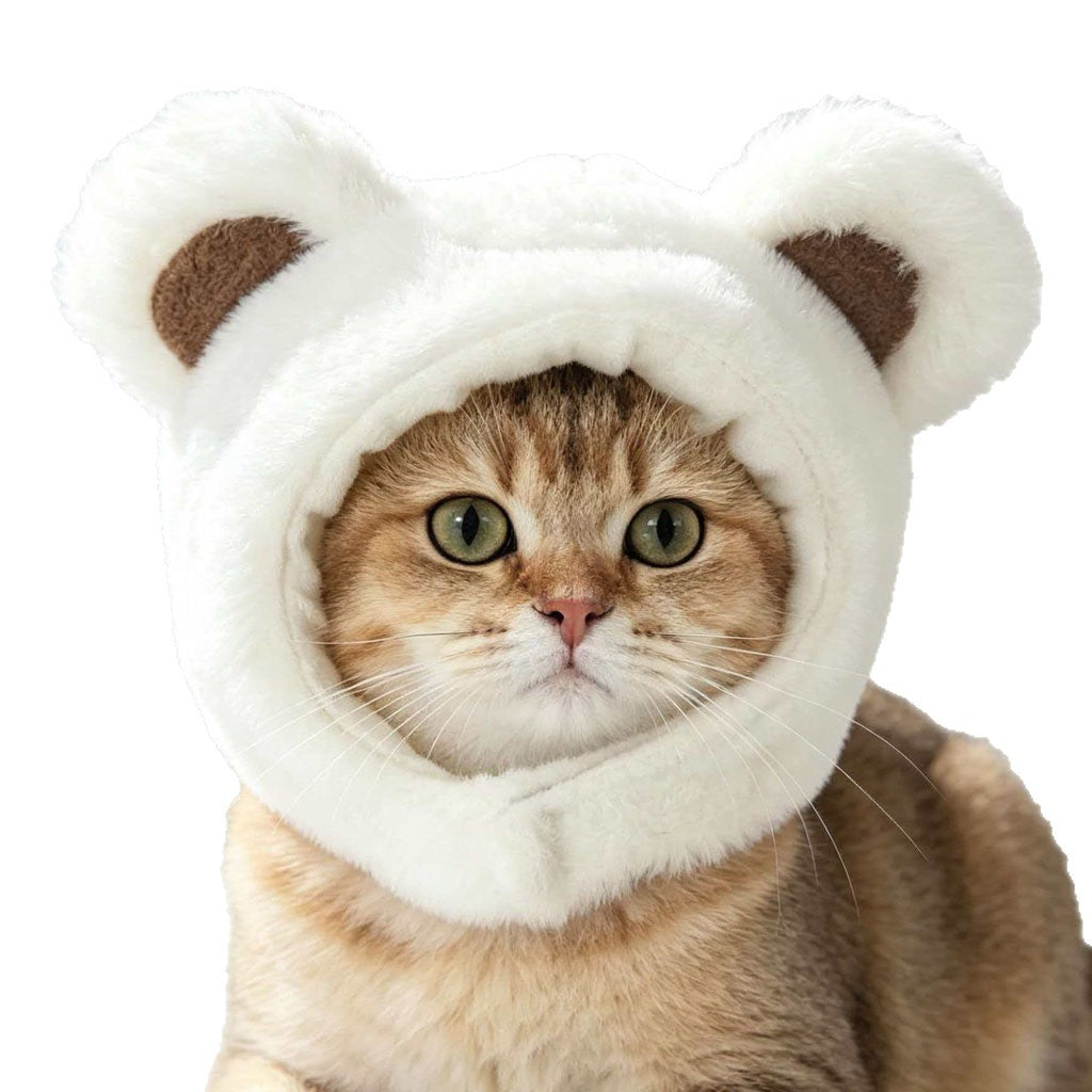 Gorro para gatos con diseño de osito | GATOKOOL