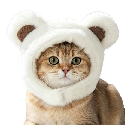 Gorro para gatos con diseño de osito | GATOKOOL