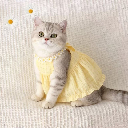 Vestido para gatos con estampado degradado | GATOKOOL