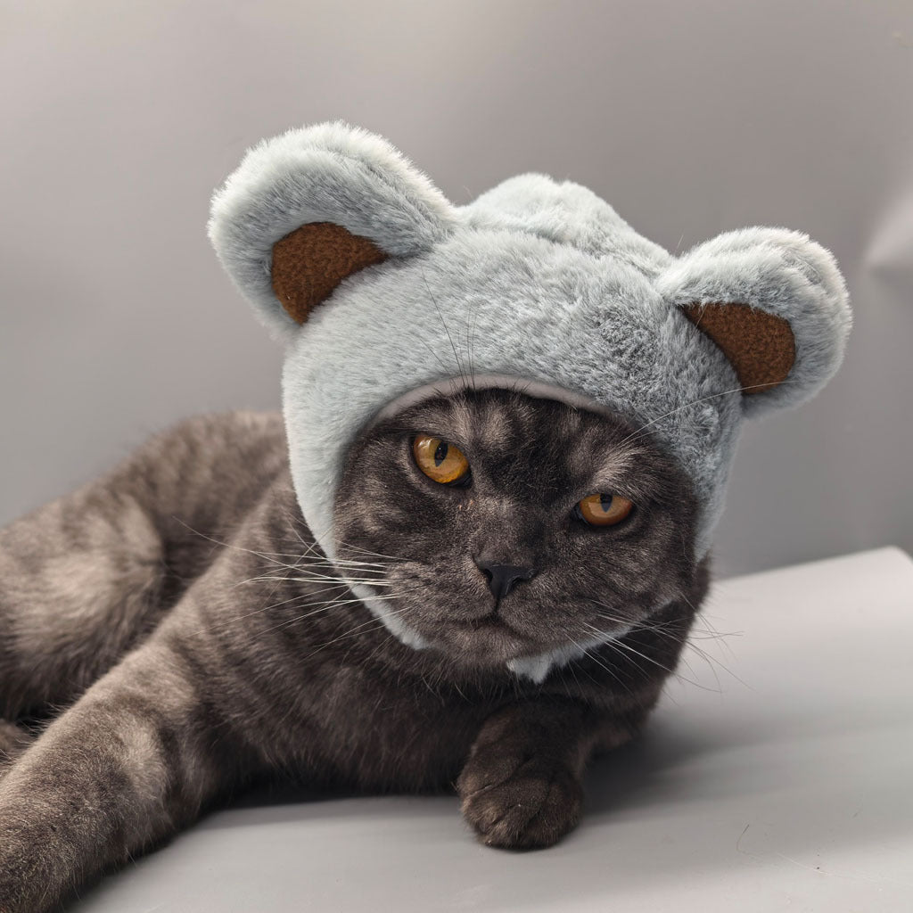 Gorro para gatos con diseño de osito | GATOKOOL