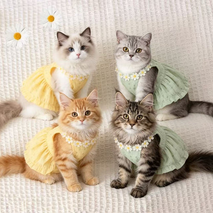 Vestido para gatos con estampado degradado | GATOKOOL
