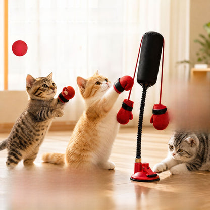 Juguete de boxeo para gatos con muelle | GATOKOOL