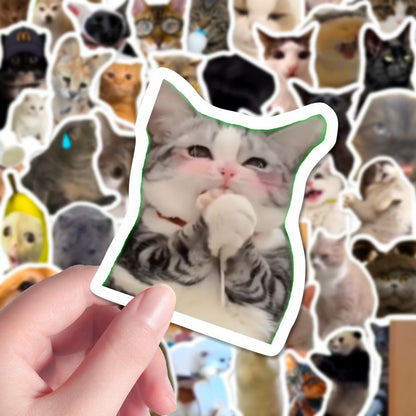 Pegatinas de gatos y memes con caja opcional | GATOKOOL