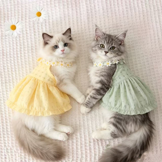 Vestido para gatos con estampado degradado | GATOKOOL