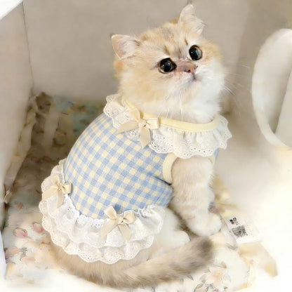 Vestido azul para gatos con encaje | GATOKOOL