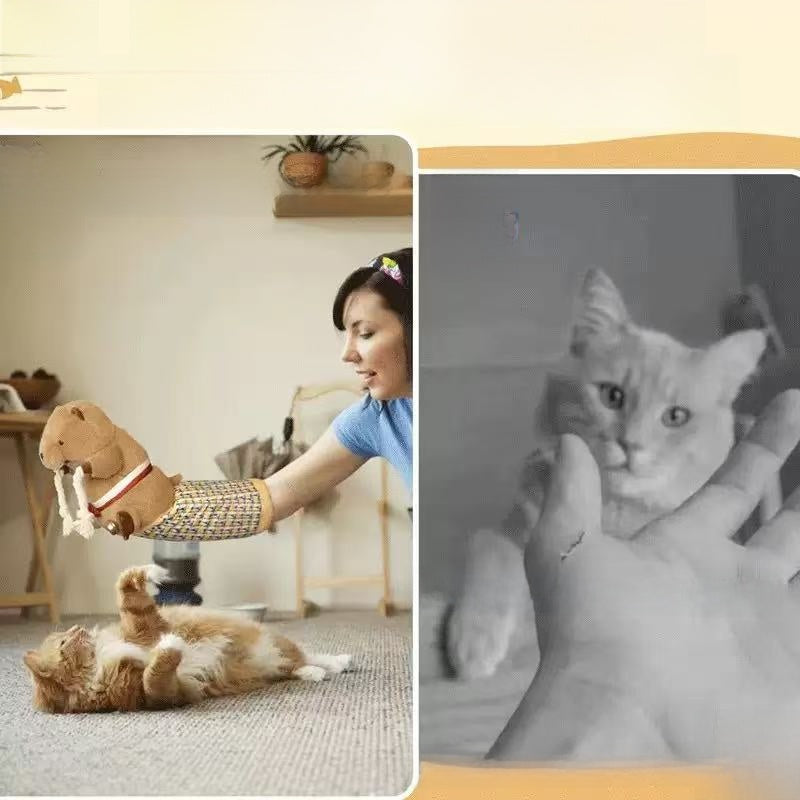 Guante de peluche con forma de castor para jugar con gatos | GATOKOOL