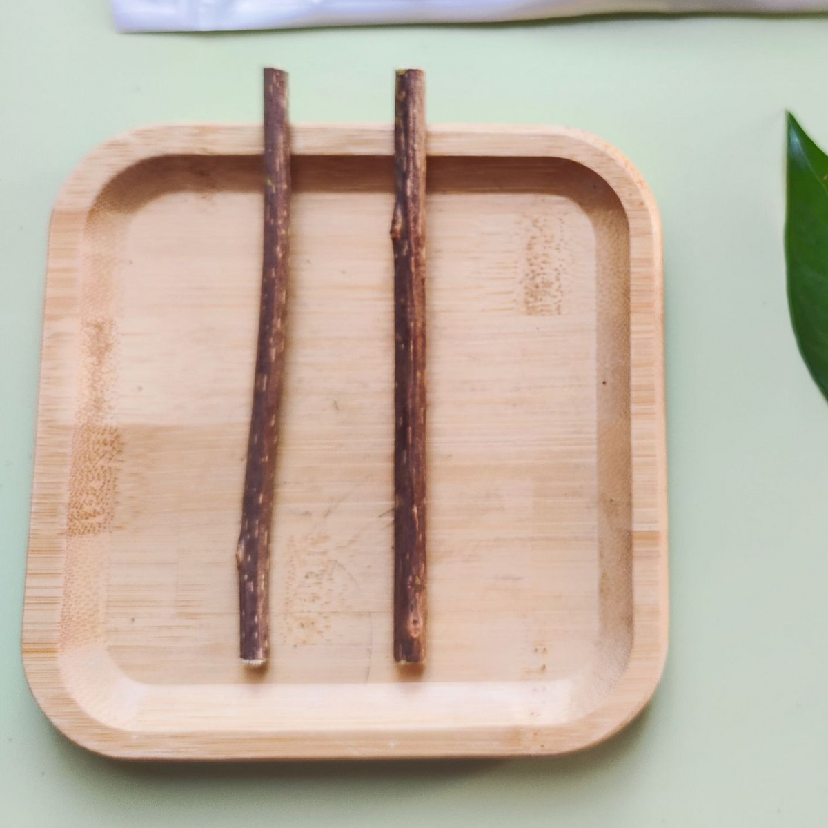 Palitos de silvervine para gatos | GATOKOOL