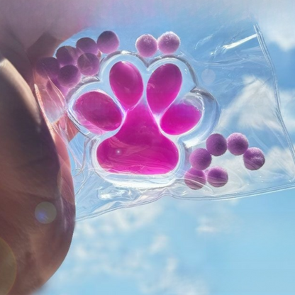 Squishy sensorial de patita de gato transparente | GATOKOOL