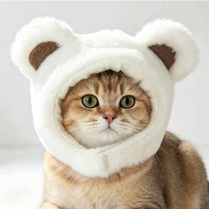 Gorro para gatos con diseño de osito | GATOKOOL