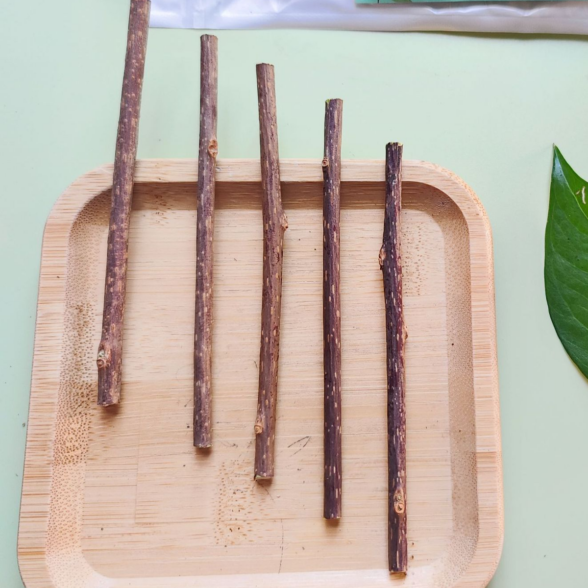Palitos de silvervine para gatos | GATOKOOL