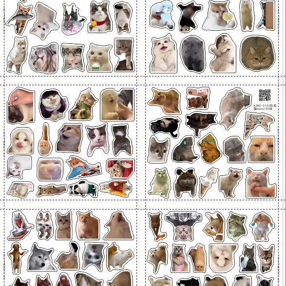Pegatinas de gatos y memes con caja opcional | GATOKOOL
