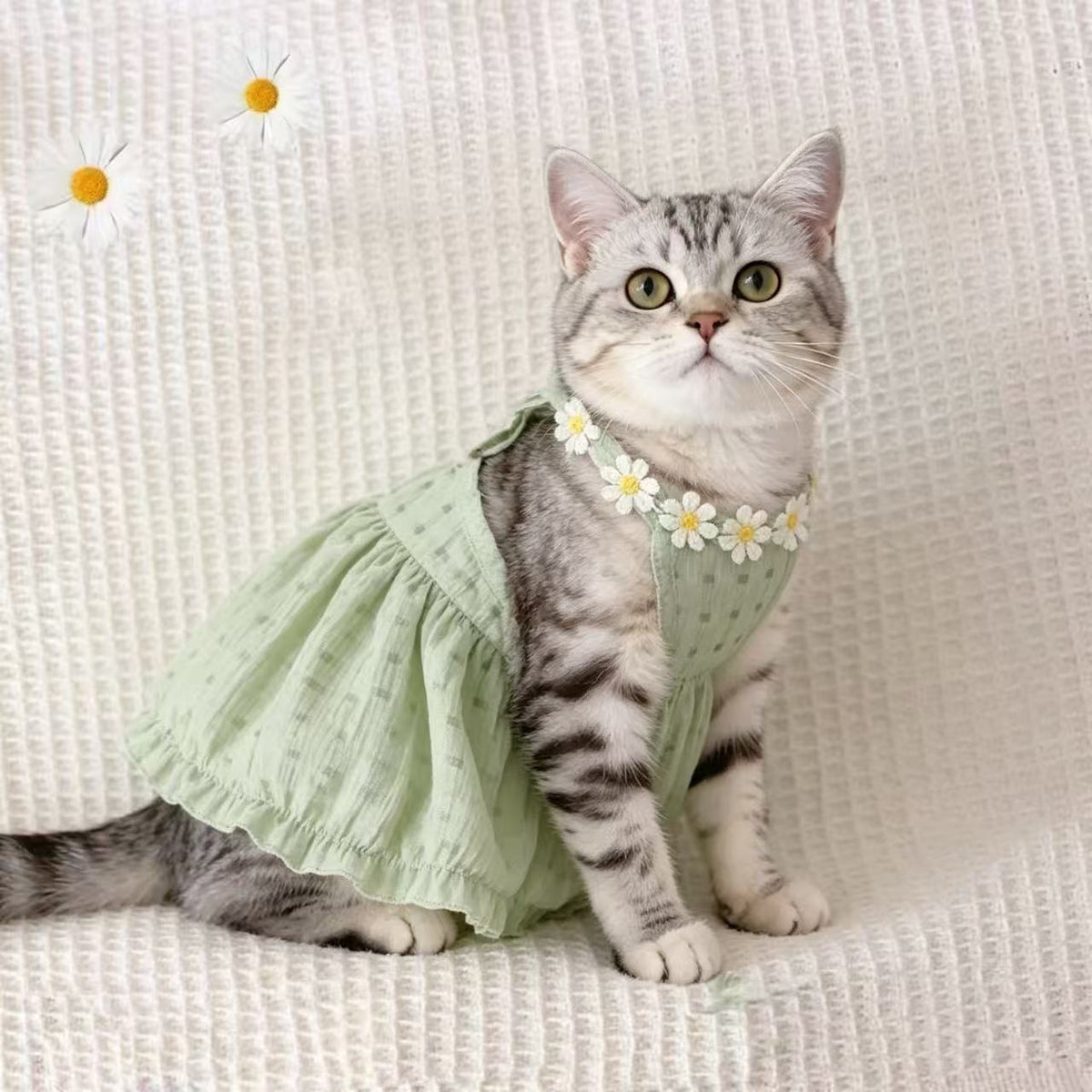Vestido para gatos con estampado degradado | GATOKOOL