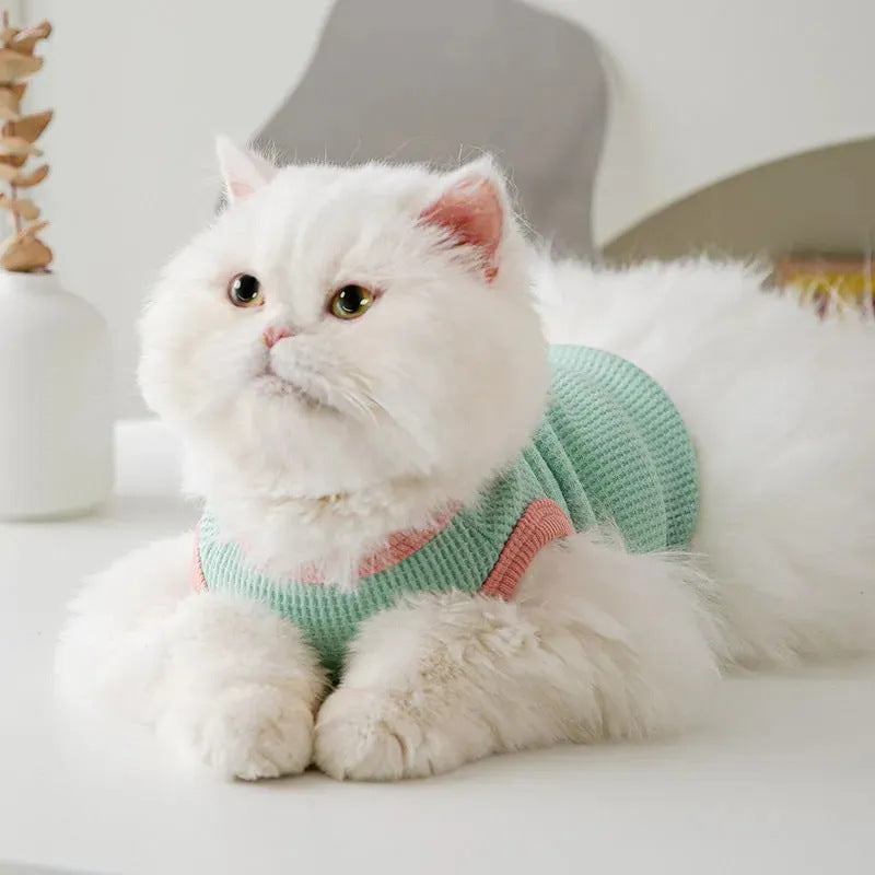 Chaleco estampado para gatos y perros pequeños | GATOKOOL
