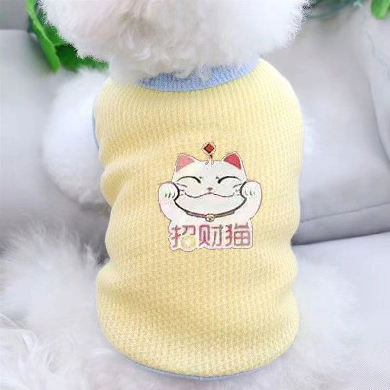 Chaleco estampado para gatos y perros pequeños | GATOKOOL