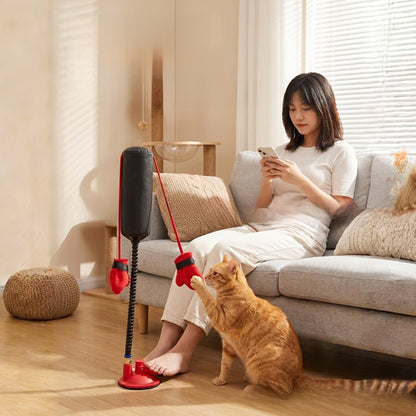 Juguete de boxeo para gatos con muelle | GATOKOOL