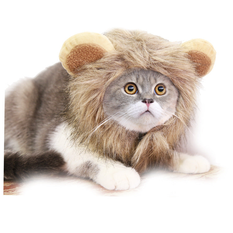 Gorro para gatos con diseños de león, oso y conejo | GATOKOOL