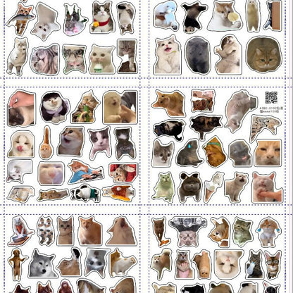 Pegatinas de gatos y memes con caja opcional | GATOKOOL