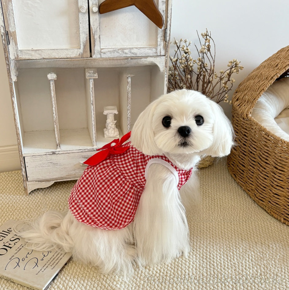 Vestido para gatos con cuadros y rayas | GATOKOOL
