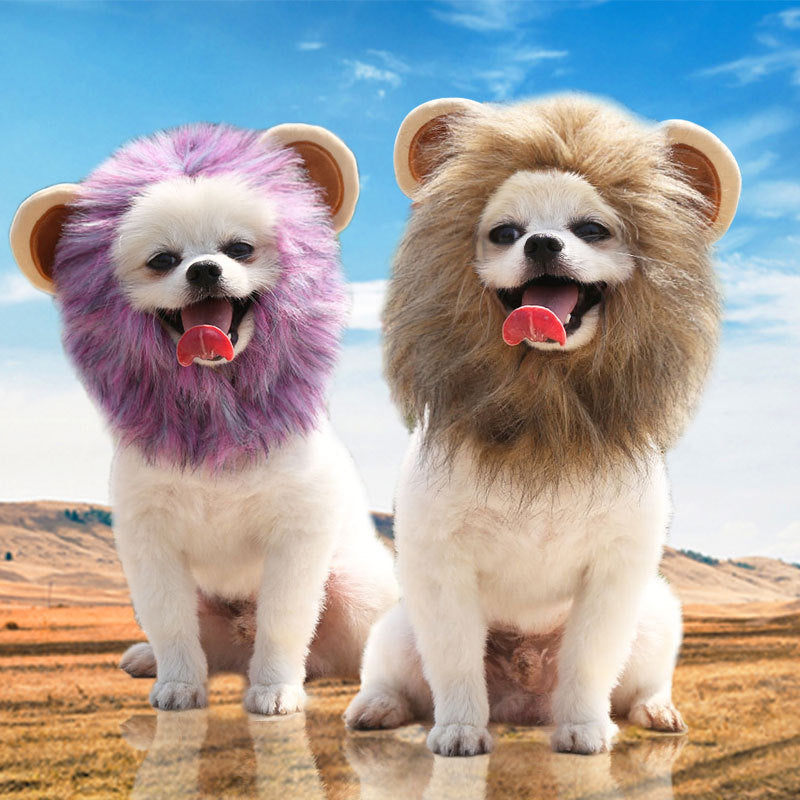 Gorro para gatos con diseños de león, oso y conejo | GATOKOOL