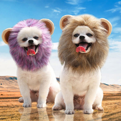Gorro para gatos con diseños de león, oso y conejo | GATOKOOL