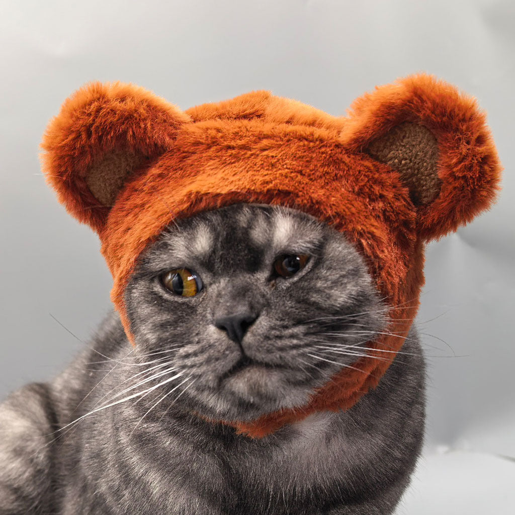 Gorro para gatos con diseño de osito | GATOKOOL